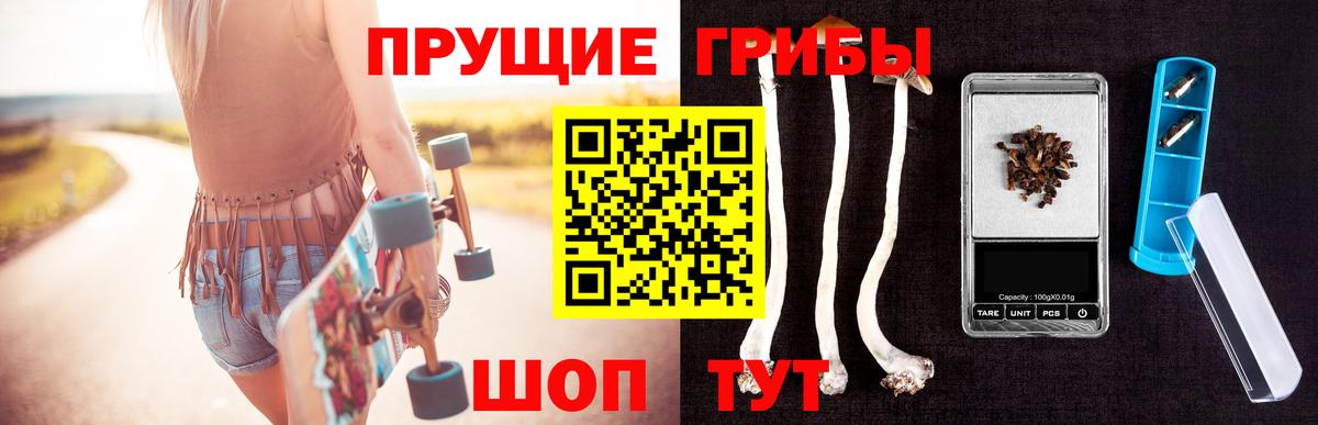 Печора  Псилоцибиновые грибы MAGIC MUSHROOMS  Вход с VPN 
